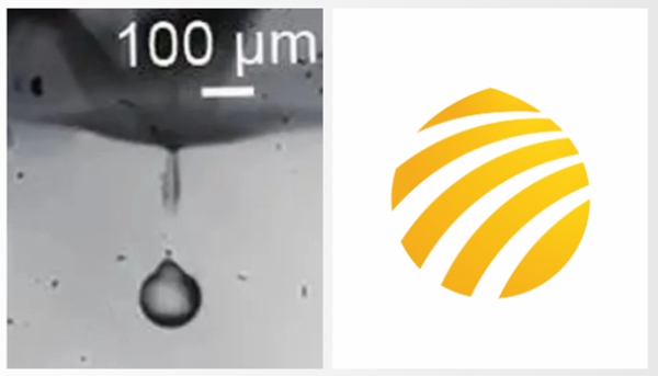 官宣 | 和记官方网站官方LOGO全「新」亮相！